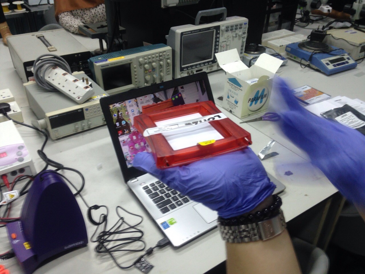 Lonza FlashGel Electrophoresis Training